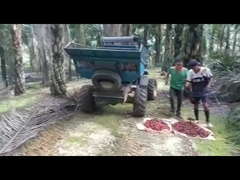 WEA08パーム油のトラクター