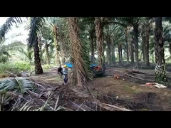 4輪駆動 14hp ディーゼルパームオイル トラクター 機器 車輪距離 2150mm