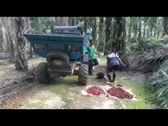 1325mmの開いたタクシーのパーム油の収穫機の重量1250kgはとの取り組む