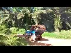 水力システム パームオイル トラクター 効率的なパームオイル抽出のための機械