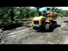 水力ミニ農業トラクター 14hp エンジン パームオイルプランテーションのためのパワートラクター